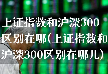 上证指数和沪深300区别在哪(上证指数和沪深300区别在哪儿)_https://www.syklpowerbike.com_上交所_第1张