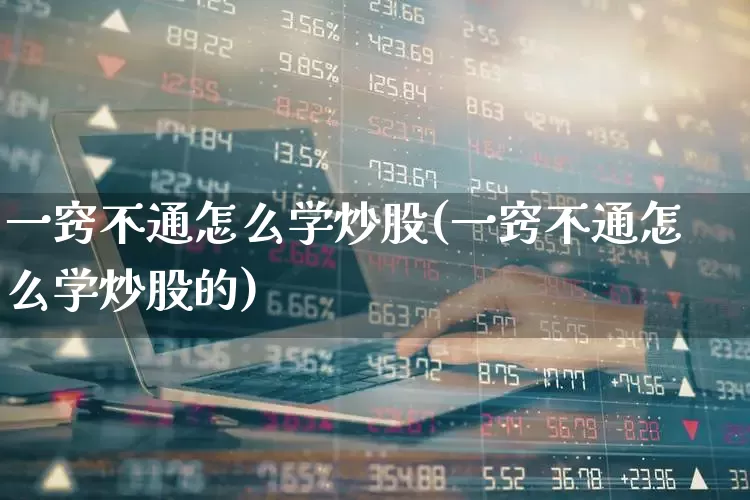一窍不通怎么学炒股(一窍不通怎么学炒股的)_https://www.syklpowerbike.com_北交所_第1张