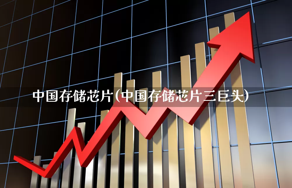 中国存储芯片(中国存储芯片三巨头)_https://www.syklpowerbike.com_上交所_第1张