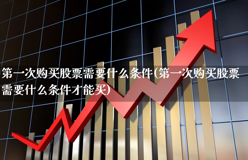 第一次购买股票需要什么条件(第一次购买股票需要什么条件才能买)_https://www.syklpowerbike.com_科创板_第1张