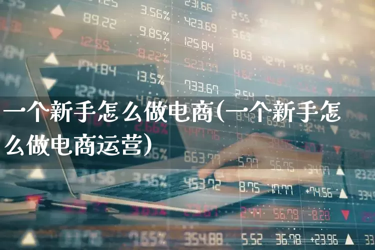 一个新手怎么做电商(一个新手怎么做电商运营)_https://www.syklpowerbike.com_创业板_第1张