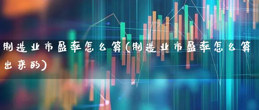 制造业市盈率怎么算(制造业市盈率怎么算出来的)_https://www.syklpowerbike.com_创业板_第1张