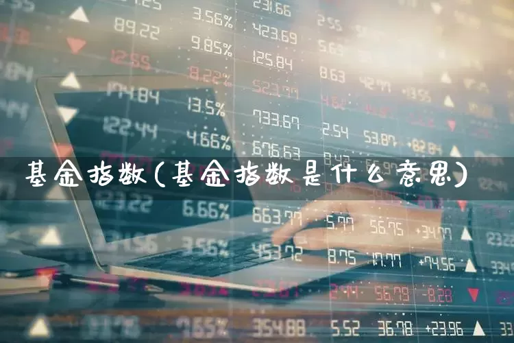 基金指数(基金指数是什么意思)_https://www.syklpowerbike.com_北交所_第1张
