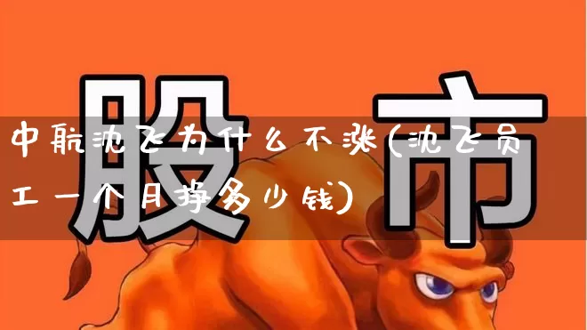 中航沈飞为什么不涨(沈飞员工一个月挣多少钱)_https://www.syklpowerbike.com_创业板_第1张
