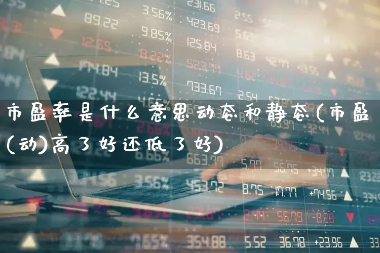 市盈率是什么意思动态和静态(市盈(动)高了好还低了好)_https://www.syklpowerbike.com_创业板_第1张