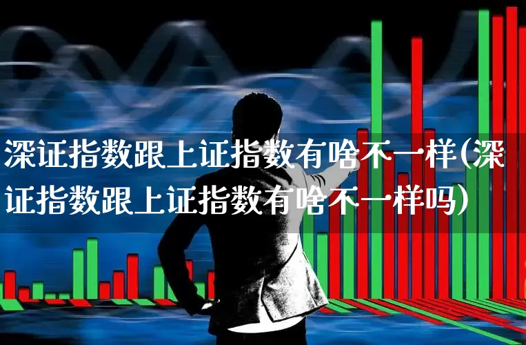 深证指数跟上证指数有啥不一样(深证指数跟上证指数有啥不一样吗)_https://www.syklpowerbike.com_科创板_第1张